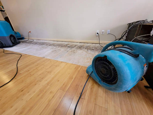 Professional Ceiling Water Damage Repair technician working in Sunset Beach, CA